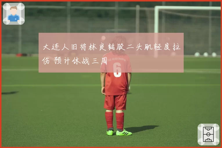 大连人旧将林良铭股二头肌轻度拉伤 预计休战三周