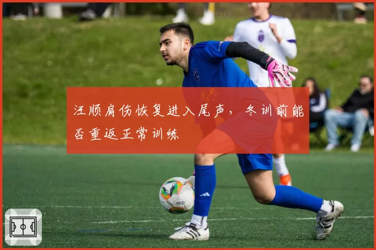 汪顺肩伤恢复进入尾声,冬训前能否重返正常训练