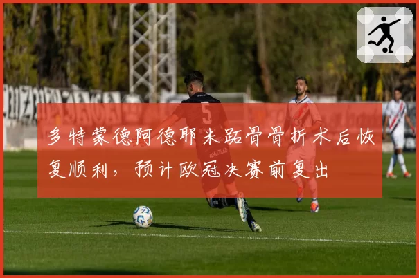 多特蒙德阿德耶米跖骨骨折术后恢复顺利，预计欧冠决赛前复出