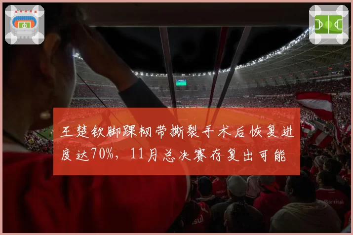 王楚钦脚踝韧带撕裂手术后恢复进度达70%，11月总决赛存复出可能